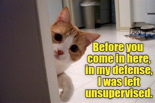 so-really-its-your-fault