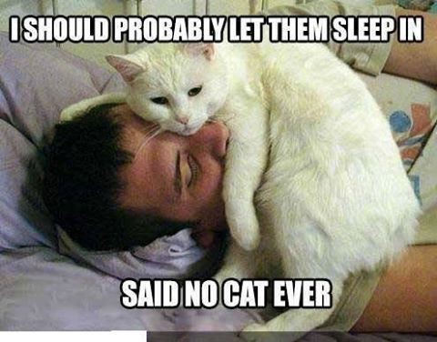 8a02f7520d4f6f228d072d342e93b2da