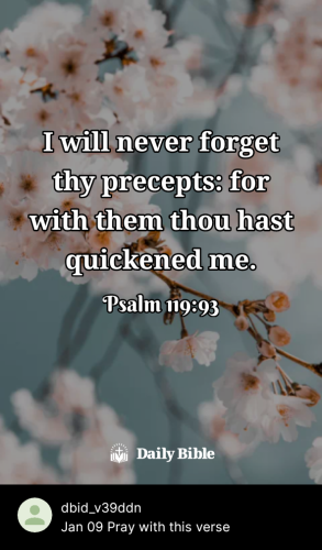 2024-01-091704818546904