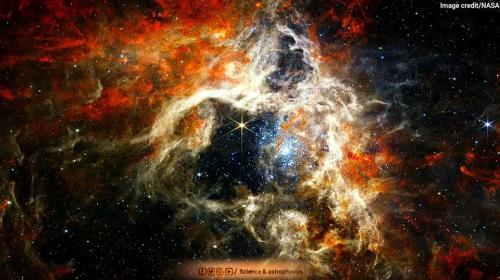 .      313085093_11556574686