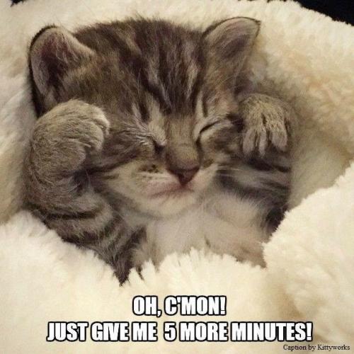 oh-cmon-just-give-5-more-minutes-caption-by-kittyworks