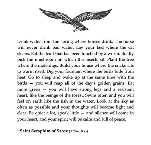 IMG_20240119_082611_099