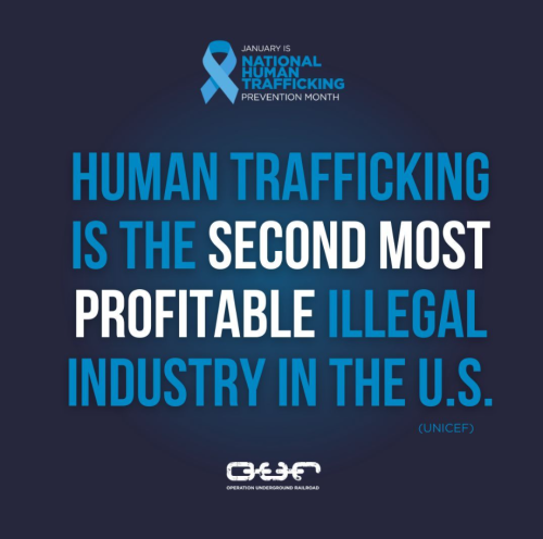 Screenshot 2024-01-23 101841