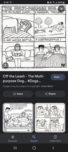 Screenshot_20240109-181801_Google