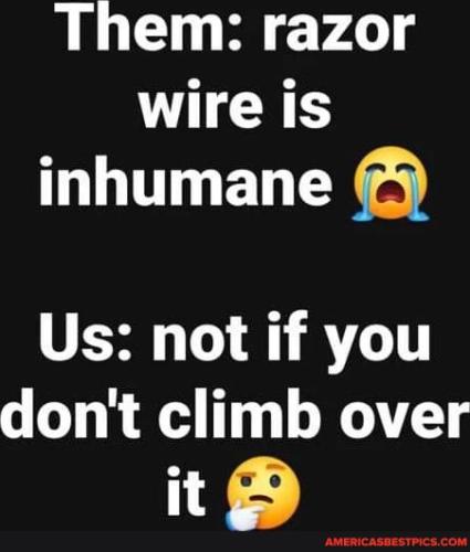 0861b53e67322c3d2819051e0415c09aaa1b2bdf1eb4df5cf2113404fcb1baf4_1