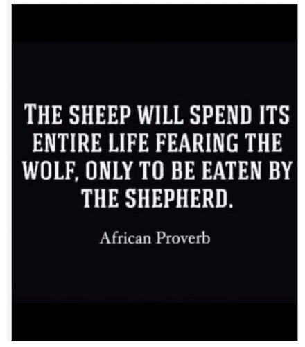 FB_IMG_1705110543460