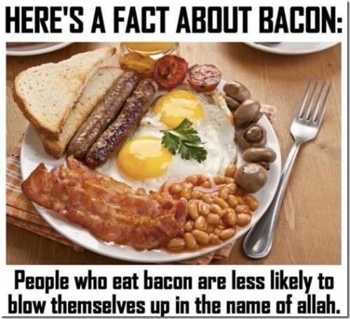 bacon