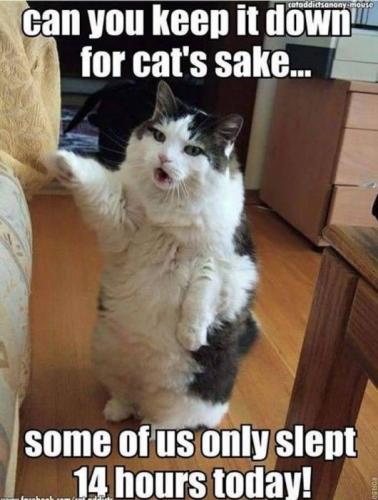 c5893289c81a358ecf9b9f6548afc1a1