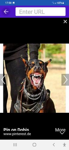 Screenshot_20230804-175807_Shield Home