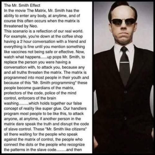 Agent Smith Effect