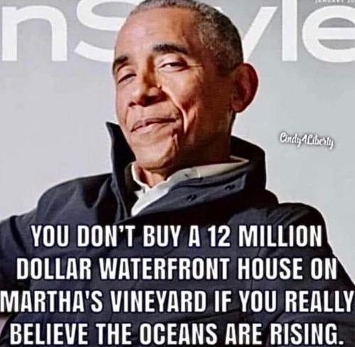 c455bdce-30b1-42bf-854b-66713cf59112_960x876