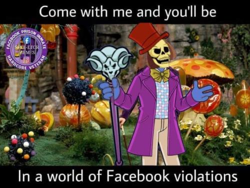 FB_IMG_1704254479894