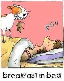 FB_IMG_1704473334173