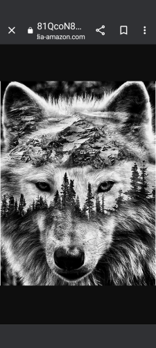 Screenshot_20240125-182822