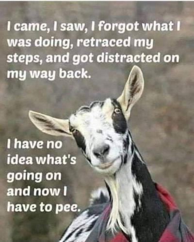 00000000000000000000000000000000000000000000000000000000000000000000000000000000000000000000000000000000000000000000000000000000000000000000000000000000000000000000000000000000000000000000000000000000bvq