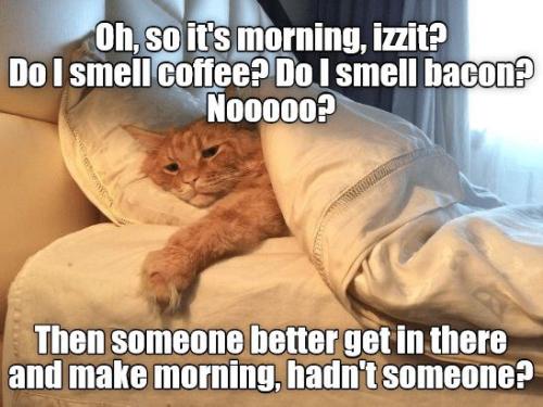 50da7e46fef4aa43dac7ad25df3fe410