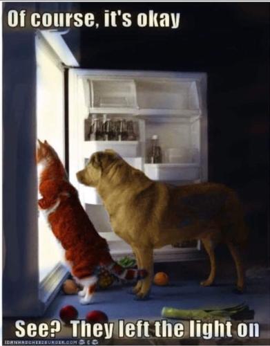 77495a7f6964217e6adbb0d51b3006ee