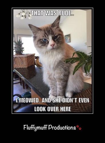 0f9df31990e32b6e5995bd65077f0ae1