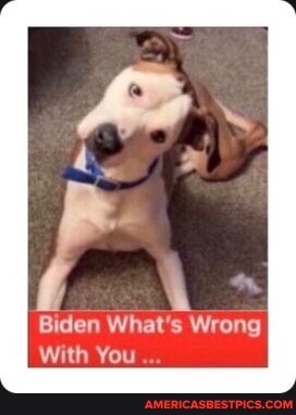 05b3d1c45db86617ed28ee683ff33820505435083c3186942b95899402281128_1