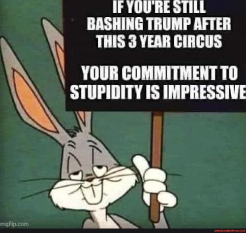 ed8741006cb0dbffe5112e652abaff32c4dfb67c1c5ca76fa08cd3243fa37a0c_1