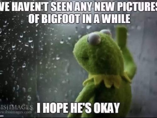 FB_IMG_1708308674781