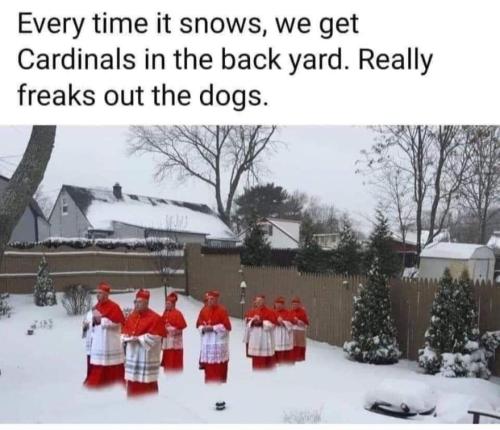 everytime it snows
