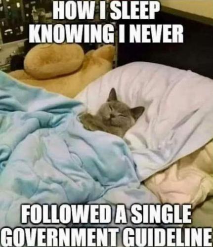 how i sleep at night knowing that i never followed a single government guideline