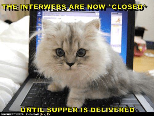 78ea6980af1d4ef58d5dd91695ed4008