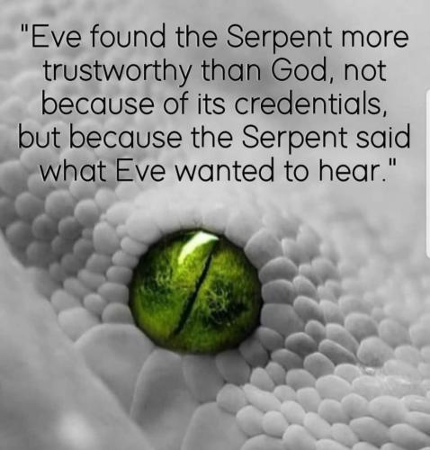 98aca0dc-c99e-42d6-bfe2-e567a15ea20b