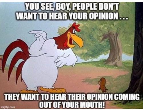 Screenshot_20240213_010152_Instagram