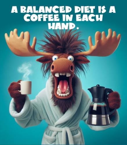 428604494_929034752031056_2394532419701101228_n