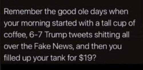 sngine_035a785c08511ed83df7b36bdc25d567