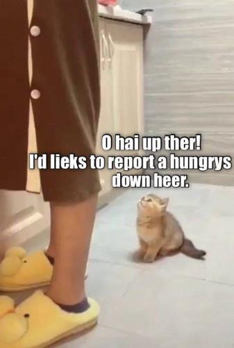 c9b234aa8b13981e1a4436402a38b494