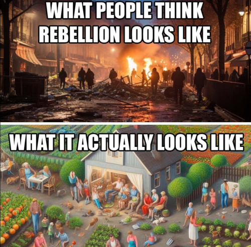 Screenshot 2024-02-05 065652