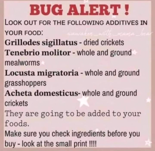 Screenshot_2024-02-21-21-55-16_kindlephoto-32041164