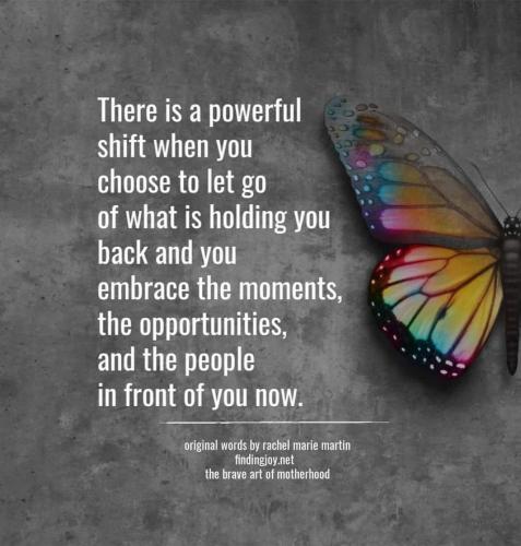 428628327_1502771307285957_2401574777598264089_n