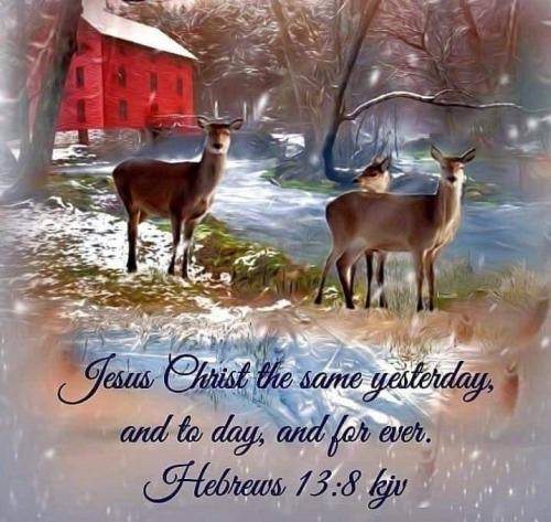 213bca98-5f9d-420d-957b-3a5172df00b6