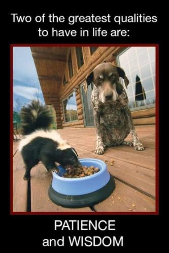 FB_IMG_1706794167155