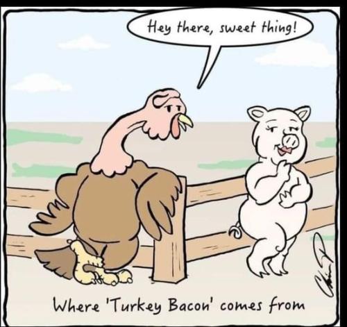 427887427_903136518486839_1622457348005277842_n