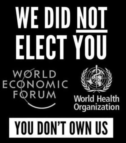 sngine_e8b1b63b62e4197a718c35b91576218c