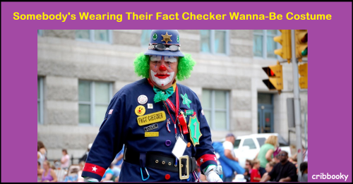 factchecker_costume