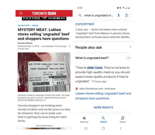 maystery meat 2