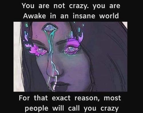 409004210_1156470138796139_7536942024890980204_n