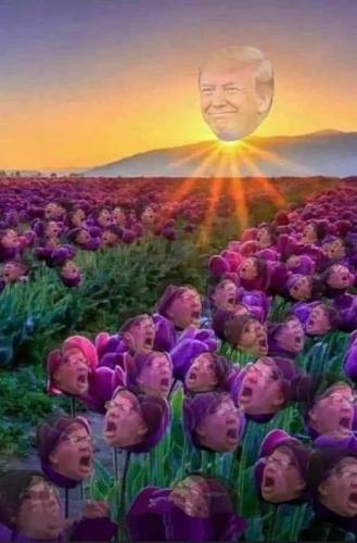 FB_IMG_1707404743375