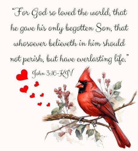 e10e0146-db51-4712-a309-e9b93d431f06