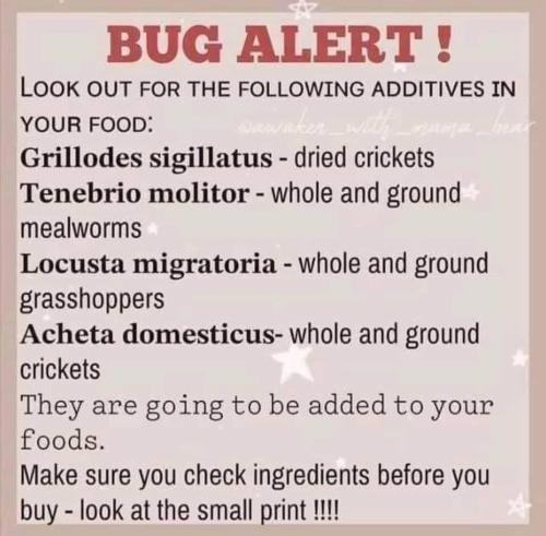 AE45C2E4-793A-417E-A516-87921CA5D23F