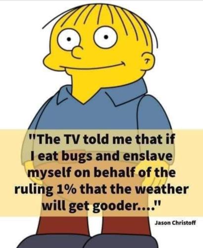 Screenshot_20240204_172957_Facebook