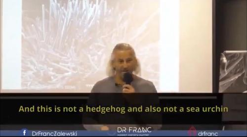 ECD4B32A-9397-4F6C-B8AC-0CF881913430