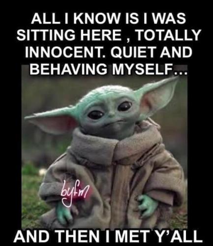 428698522_3747430645492357_6797017845591511541_n