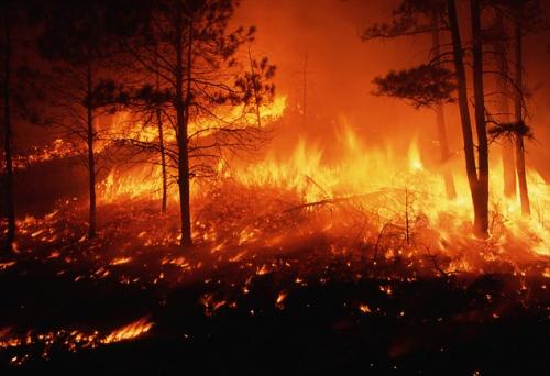 muslim fires wildfire-2012-inspire-mag-firebombs_2_orig-e1578451261657